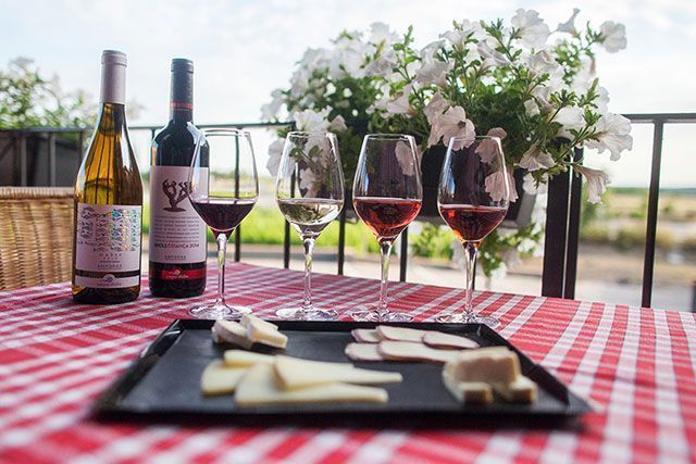 Bodega Empordàlia y vinos y aceites del Alt Empordà